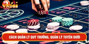 Cách quản lý quỹ thưởng, quản lý tuyến dưới