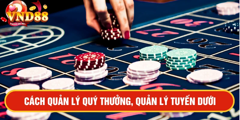 Cách quản lý quỹ thưởng, quản lý tuyến dưới