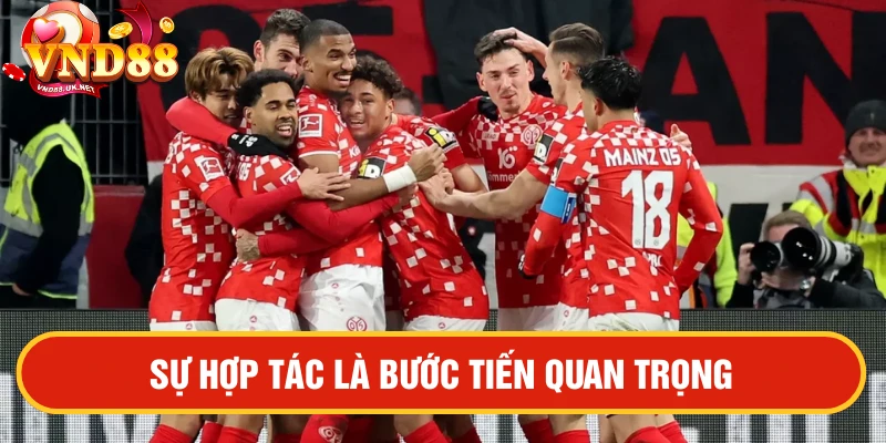 Mainz 05 trở thành đối tác chính thức của VND88