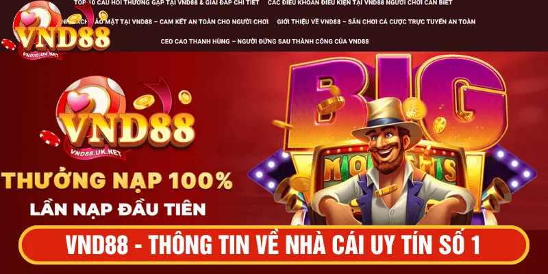 VND88 - thông tin về nhà cái uy tín số 1