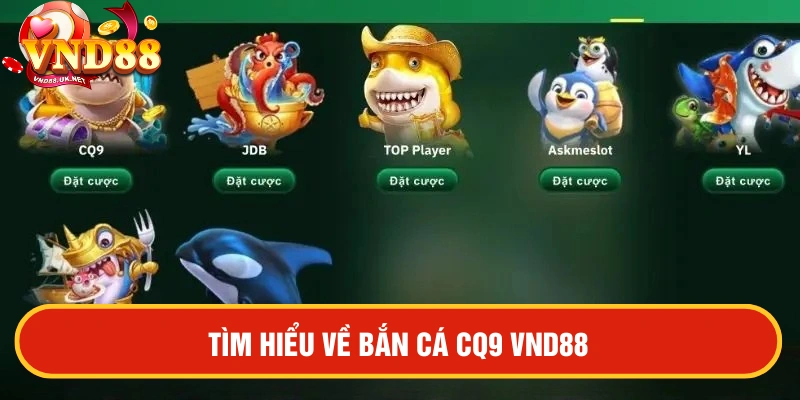 Tìm hiểu bắn cá CQ9