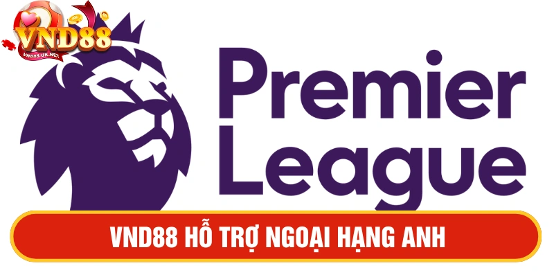 VND88 hỗ trợ giải đấu