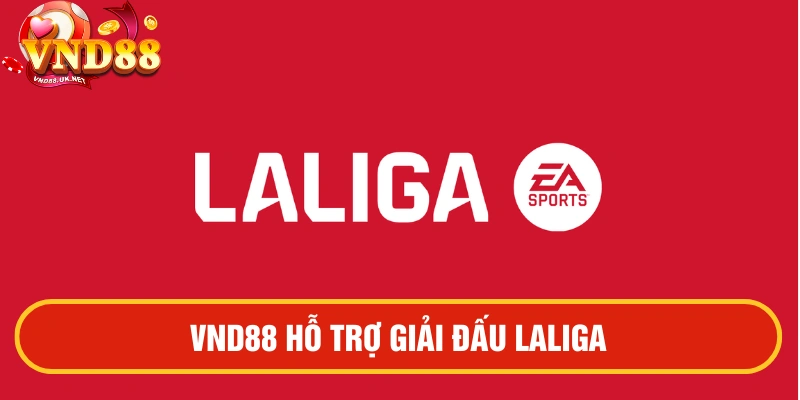 VND88 tài trợ thể thao