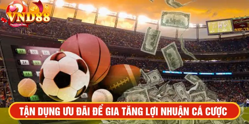 Tận dụng ưu đãi để gia tăng lợi nhuận cá cược 