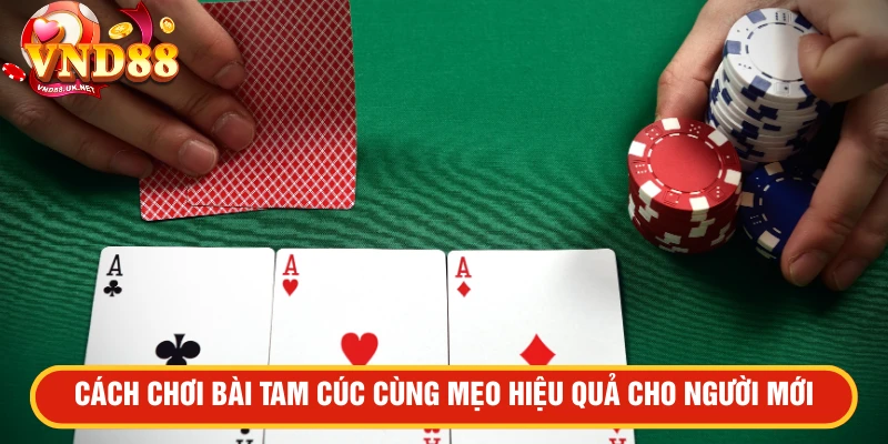 Cách chơi bài tam cúc cùng mẹo hiệu quả cho người mới