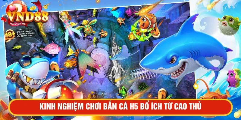 Kinh nghiệm chơi bắn cá H5 bổ ích từ cao thủ