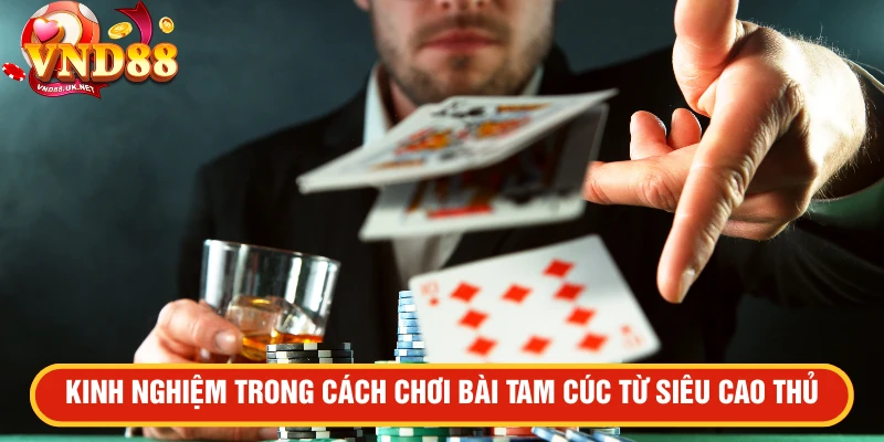 Kinh nghiệm trong cách chơi bài tam cúc từ siêu cao thủ