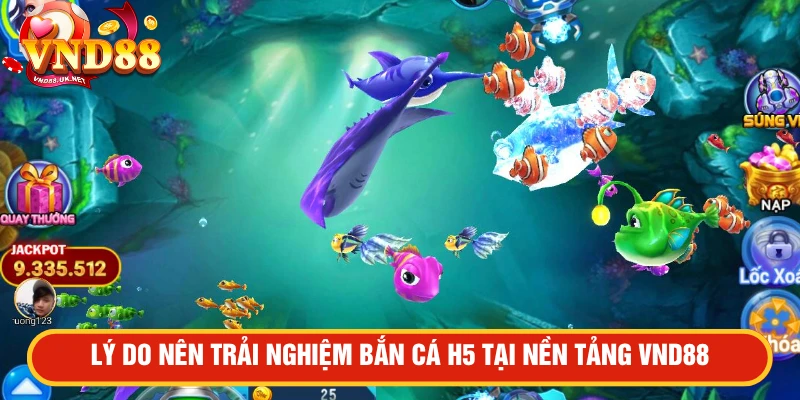 Lý do nên trải nghiệm bắn cá H5 tại nền tảng VND88