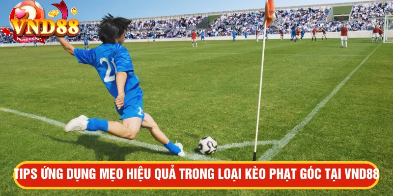 Tips ứng dụng mẹo hiệu quả trong loại kèo phạt góc tại VND88