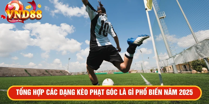 Tổng hợp các dạng kèo phạt góc là gì phổ biến năm 2025